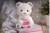 9"/23CM LOVE HEARTS LOVE YOU ALWAYS BEAR