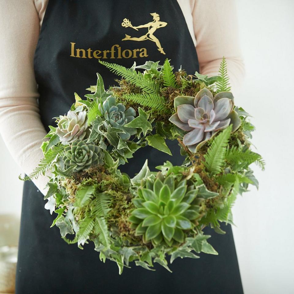 Living Succulent Wreath