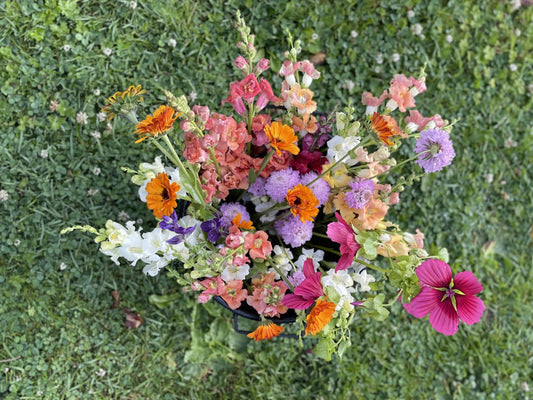 Bucket of Blooms